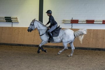 Bild 151 - Pony Akademie Turnier